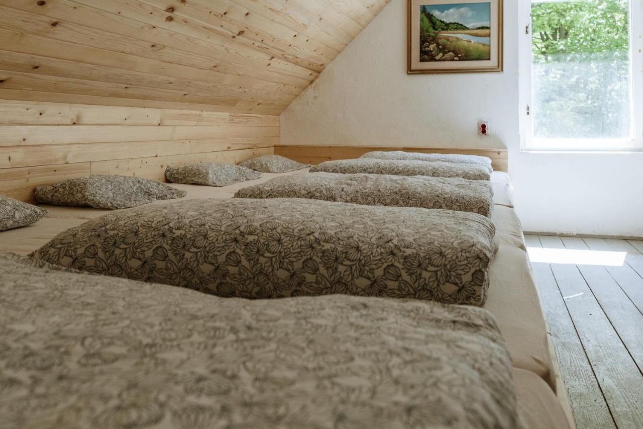 ツェルクニツァ Dom Na Slivnici Bed & Breakfast エクステリア 写真